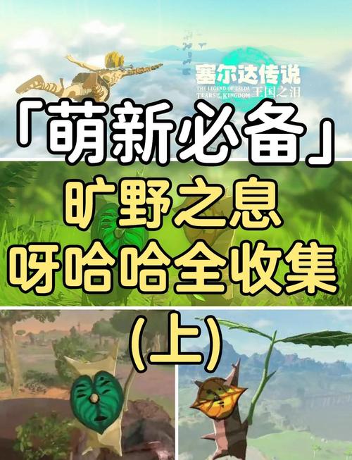 塞尔达旷野之息克洛洛攻略