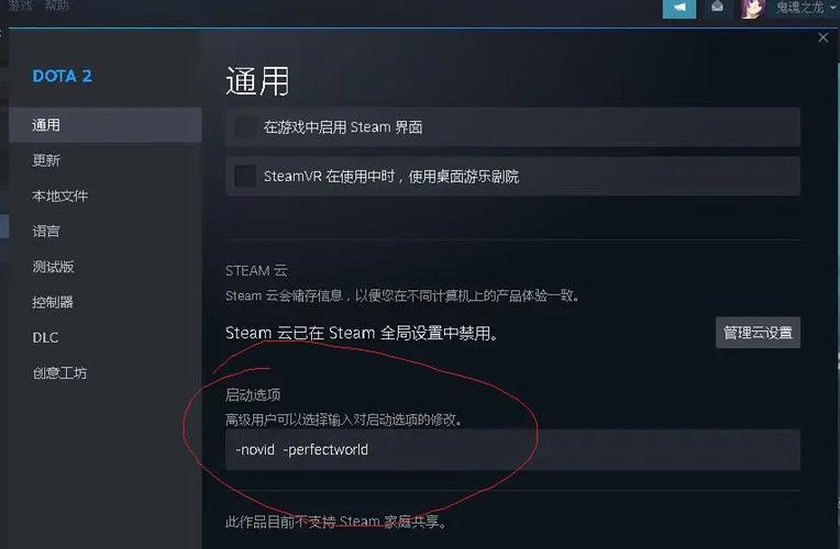 dota2国服启动项代码是什么