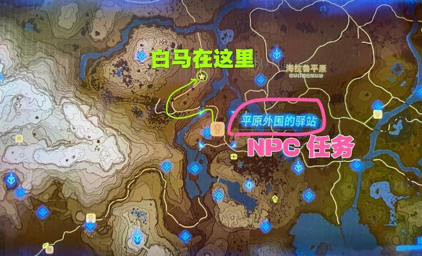 塞尔达传说王家的白马任务在哪接
