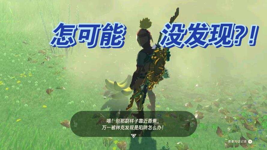 塞尔达在依盖队找不到那个球