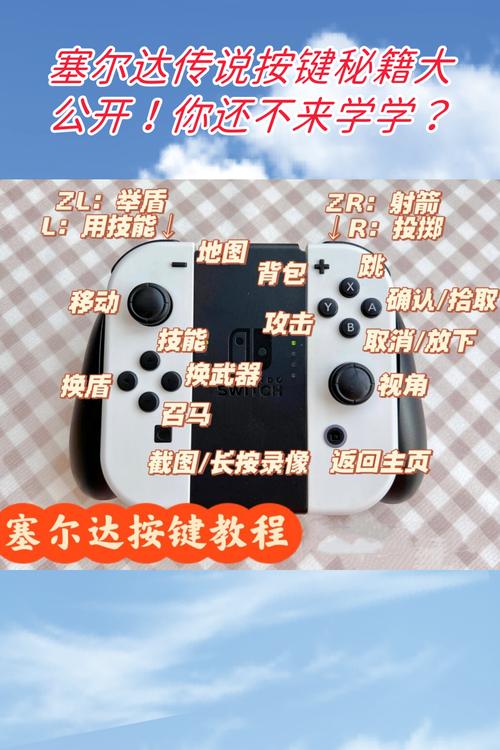 旷野之息宏按键设置