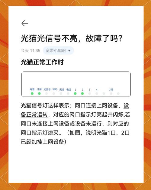 猫咪为什么在高分的禁用率会这么高?