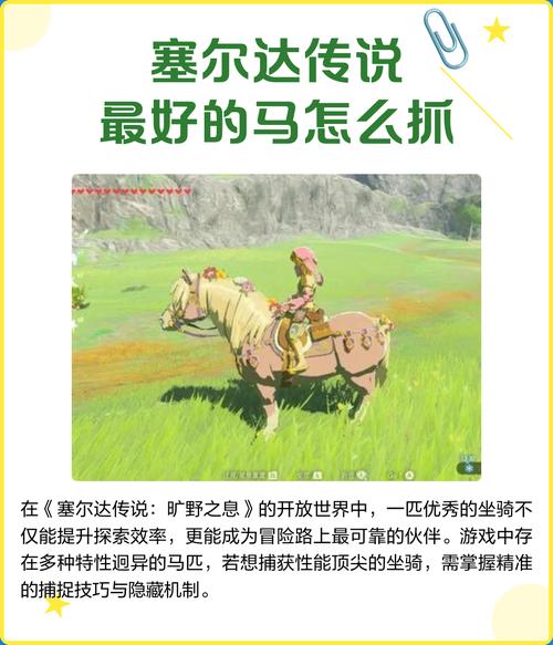 塞尔达的比较好的马