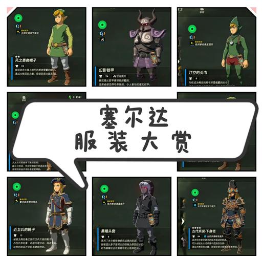 塞尔达服装栏需要扩充吗
