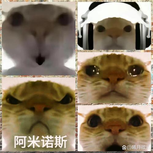 在网络环境中阿米诺斯是啥意思