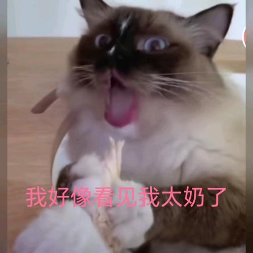 太奶是什么网络梗