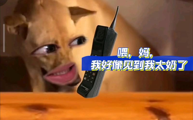 奶穿所代表的意思是什么呢?